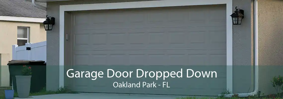 Garage Door Dropped Down Oakland Park - FL