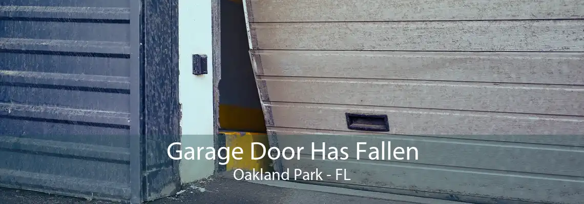 Garage Door Has Fallen Oakland Park - FL