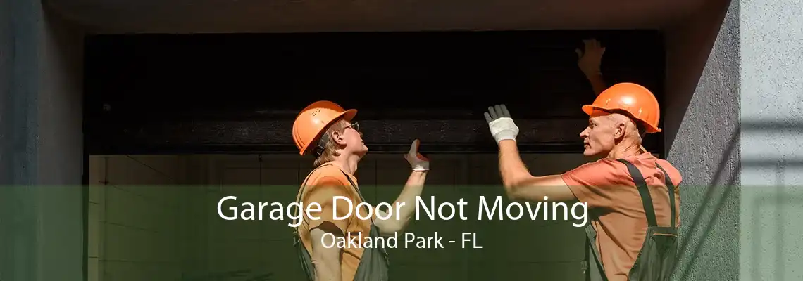 Garage Door Not Moving Oakland Park - FL