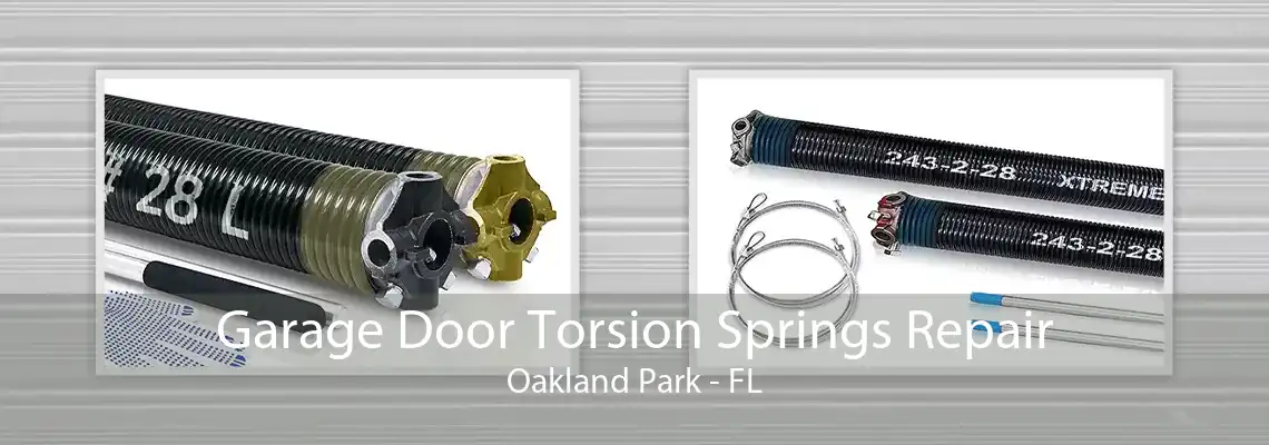 Garage Door Torsion Springs Repair Oakland Park - FL